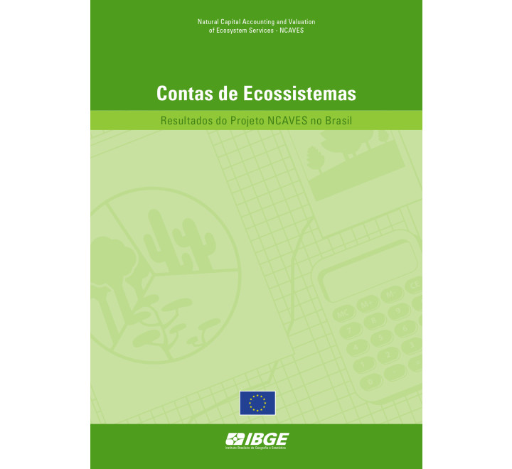 Contas de ecossistemas: resultados do Projeto NCAVES no Brasil