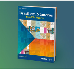 XVI Seminário Brasil em Números