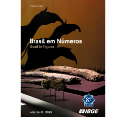 Brasil em Números/Brazil in figures 2023