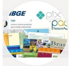 Frete Pedido # 100043440 | 25/06/2026 13:29:24