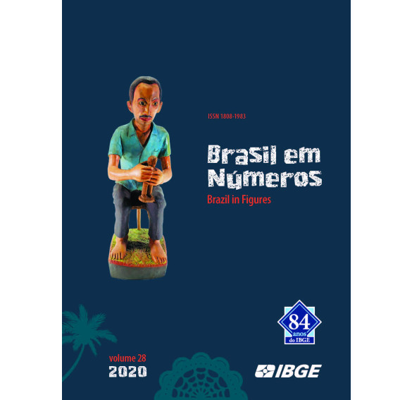 Brasil em Números/Brazil in figures 2020